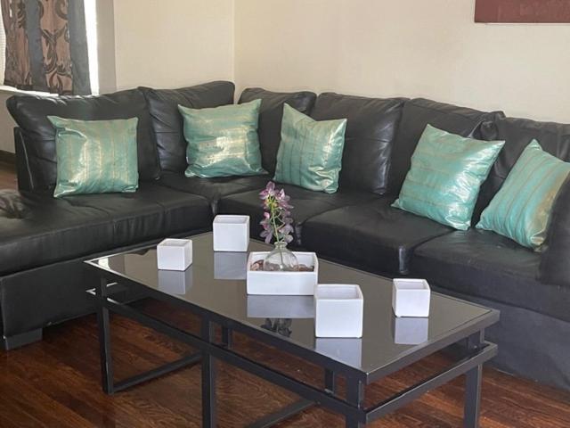 Clean, Spacious, Inexpensive Queen Br 호텔 시카고 외부 사진